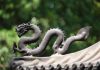 双龙相争 灭亡预兆的神秘异象(图)