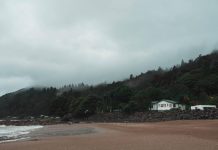 最新研究:紐西蘭海平面上升速度是預期的兩倍,居民需查看自家房屋是否有風險