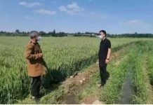 不讓春耕 還要求「多理解」 難道只能網上種地了?