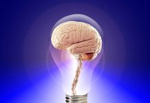 5種增強記憶力方法 簡單實用