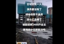 武漢「最高學歷樓盤」成爛尾樓 買房者「只能離婚救孩子」