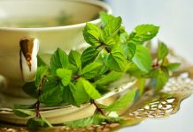 蚊子最怕的3種植物 房間再小也要養一盆