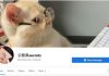 脸书群组涉违反国安法 「公务员secrets」管理员被捕