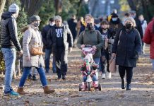 纽西兰统计局公布更多人口普查数据