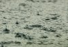 雨水都有毒?研究證明:地球已沒有安全之處