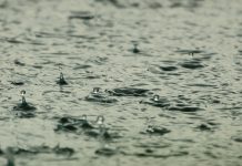 雨水都有毒?研究證明:地球已沒有安全之處