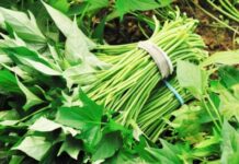 「平民蔬菜王」地瓜葉的8大好處