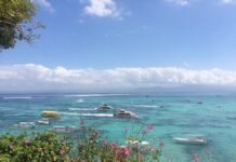 停飞三年后,纽航重新恢复直飞巴厘岛航班