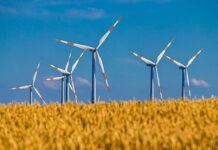 能源公司:若不妥善處理脫碳過程 電費或將上漲