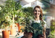 植物討厭「酒鬼」 也會被「麻醉」