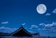一首詩說出了人生中最好的時光