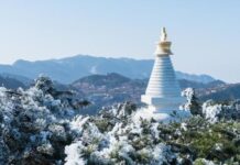 廬山、峨眉山和青城山的神祕燈火