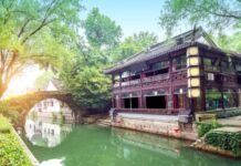 轉世再生人給父母的震撼一刻(圖)