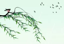 為何「燕子不進苦寒門」?專挑富貴人家築巢