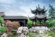夢中看到七個字 預告了他的一生