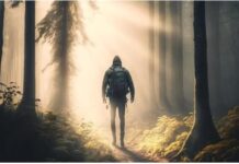 人的頭上若有靈光 老虎見了也會避開