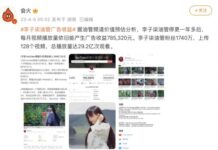 李子柒油管停更 廣告收益仍驚人 每月78萬元
