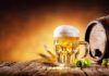長期喝啤酒或白酒哪個好?真相告訴你