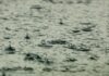 MetService:5月18日起,全国会再次出现大规模降水