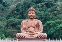 2人都遵照佛陀指示 為何結局大不同?