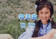 從爆紅到突遭封殺 遠走異鄉的她經歷了甚麼?