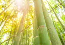 留億萬存款 不如引導孩子活出生命力(組圖)