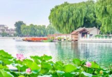 人死如燈滅?一個記得數次轉世經歷的人