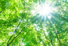 夢中來求救 放生的動物也會報恩(圖)