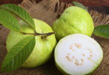 三大便宜食物 輕鬆「吃出抵抗力」!