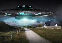 UFO降落在自家後院 外星人送出4塊「煎餅」
