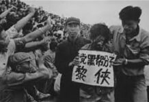 這些名人為什麼都自殺了?