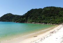 紐西蘭Awaroa Beach入選全球34個最佳海灘榜單,排名第九