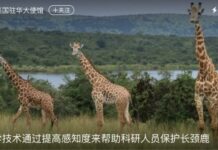 美駐華使館微博評論區遭控制 中共暗中指使?