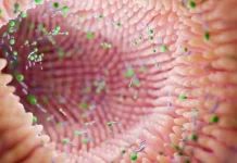 人體內有兩個大腦 第二大腦在腸道裏