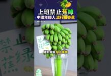 「禁止蕉綠」火了 你有在養一盆嗎?