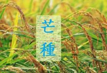 俗语「五月芒种节 夫妻各自歇」啥意思?(图)