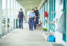 華人緩刑官因私自調閱未授權卷宗被解僱,曾為前國家黨議員楊健工作