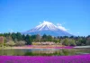 9月19日起,紐澳旅客可享免費搭乘日本航空國內航班
