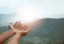 世界上沒有比感恩更能喚起人類的良心