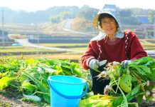 「藍色區域」長壽人瑞的9項養生祕訣大公開(組圖)