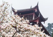 蒲松龄的前生与来世 比《聊斋志异》更精采