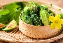 夏天吃苦瓜大補 經典苦瓜鑲瓤快速上桌(組圖)