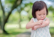 為甚麼蚊子「偏愛」你?是這4個原因造成的(組圖)