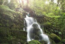 《孤独星球》公布纽西兰北岛最棒步道