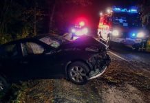 男友車禍死亡 8年後轉生成女友的兒子