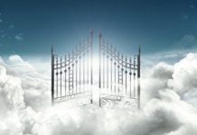 神经外科教授:大脑是器官 灵魂让我们活起来(下)