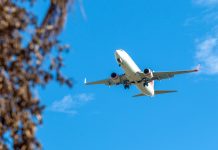 紐西蘭航空業成本上升,機票價格調整應對燃油暴漲