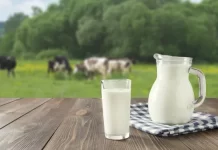 出國後發現牛奶更香醇?原因在這裏