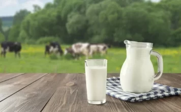 出國後發現牛奶更香醇?原因在這裏